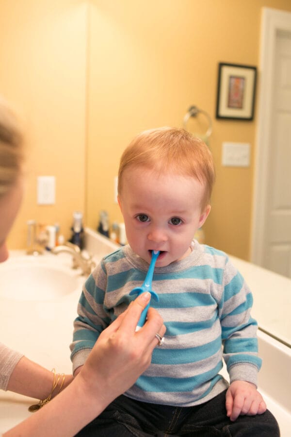 Dr. Brown's Baby's eerste tandenborstel Olifant blauw - Afbeelding 5