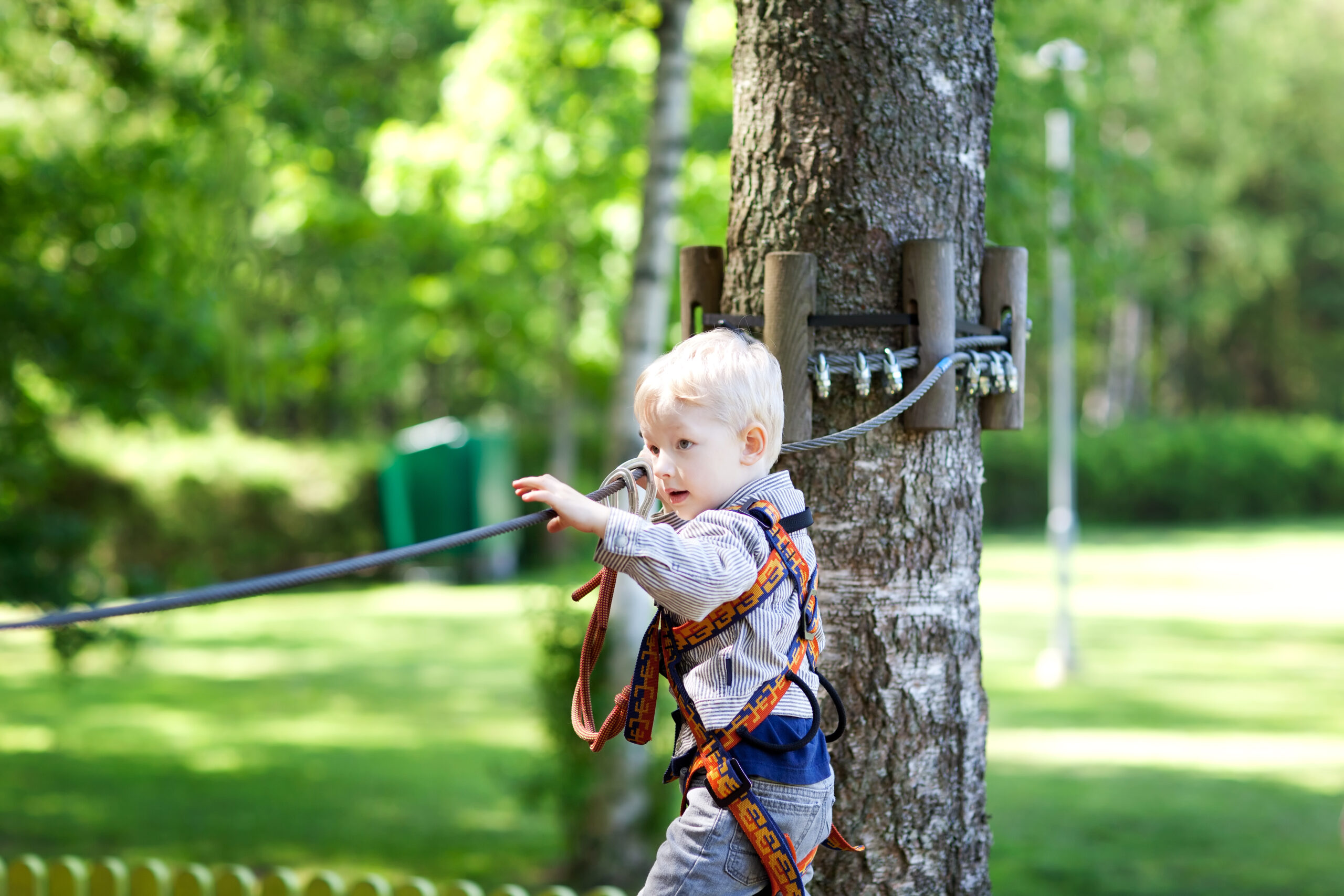 serious,little,boy,climbing,at,a,canopy,tour