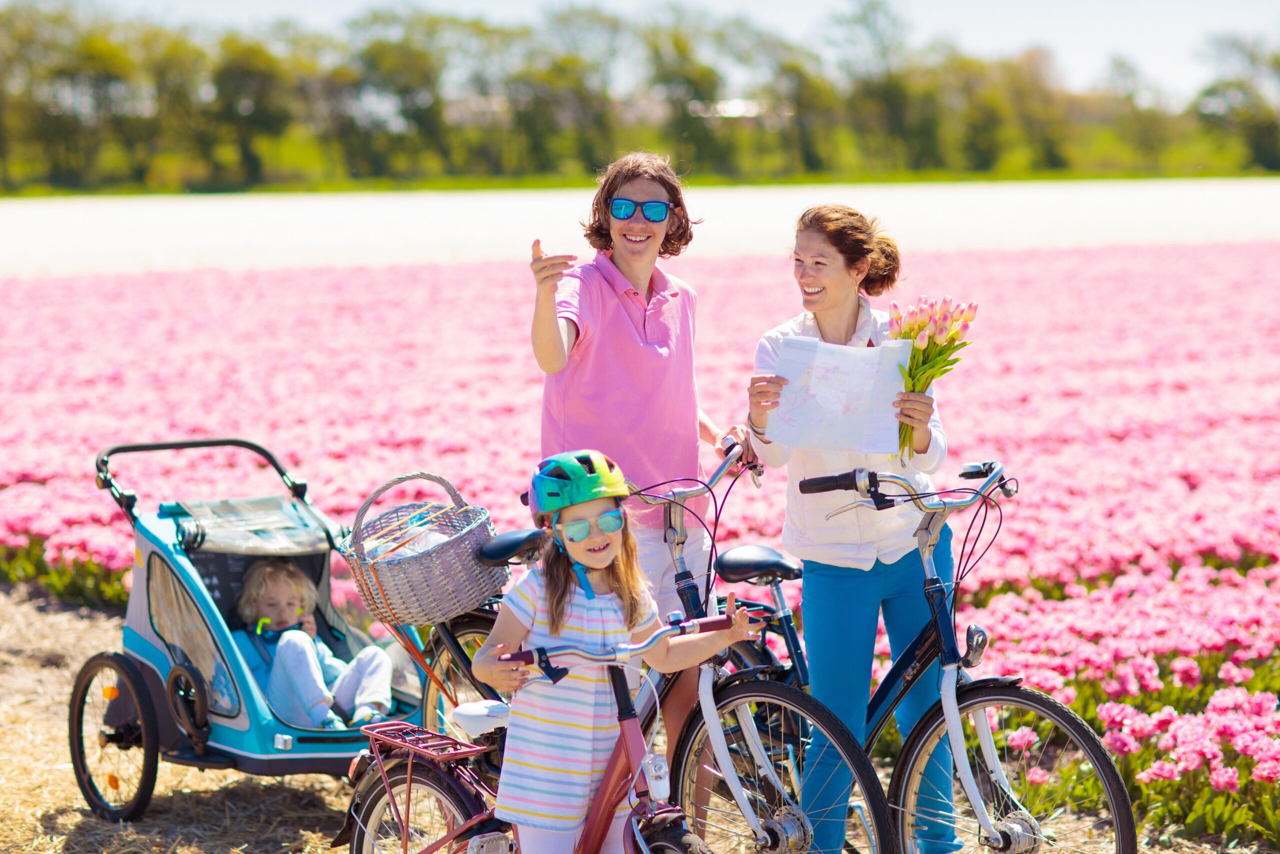 happy,dutch,family,riding,bicycle,in,tulip,flower,fields,in