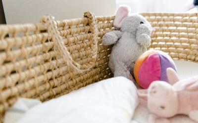 Happy Kids Boutique baby uitzetlijst en babyspullen met rieten wiegje gevuld met zachte knuffels, een bal en een kussen, rustige en warme setting voor de voorbereiding op de komst van een baby