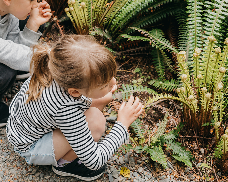 Bosbingo Happy Kids Boutique Kinderen ontdekken nieuwsgierig varens en plantjes tijdens een bosbingo in de natuur.
