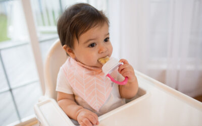 Happy Kids Boutique baby zit in kinderstoel en gebruikt de Dr. Brown's silicone feeder met fruit, lifestyle afbeelding over smaakontwikkeling en het ontdekken van eerste hapjes op een veilige en rustige manier.